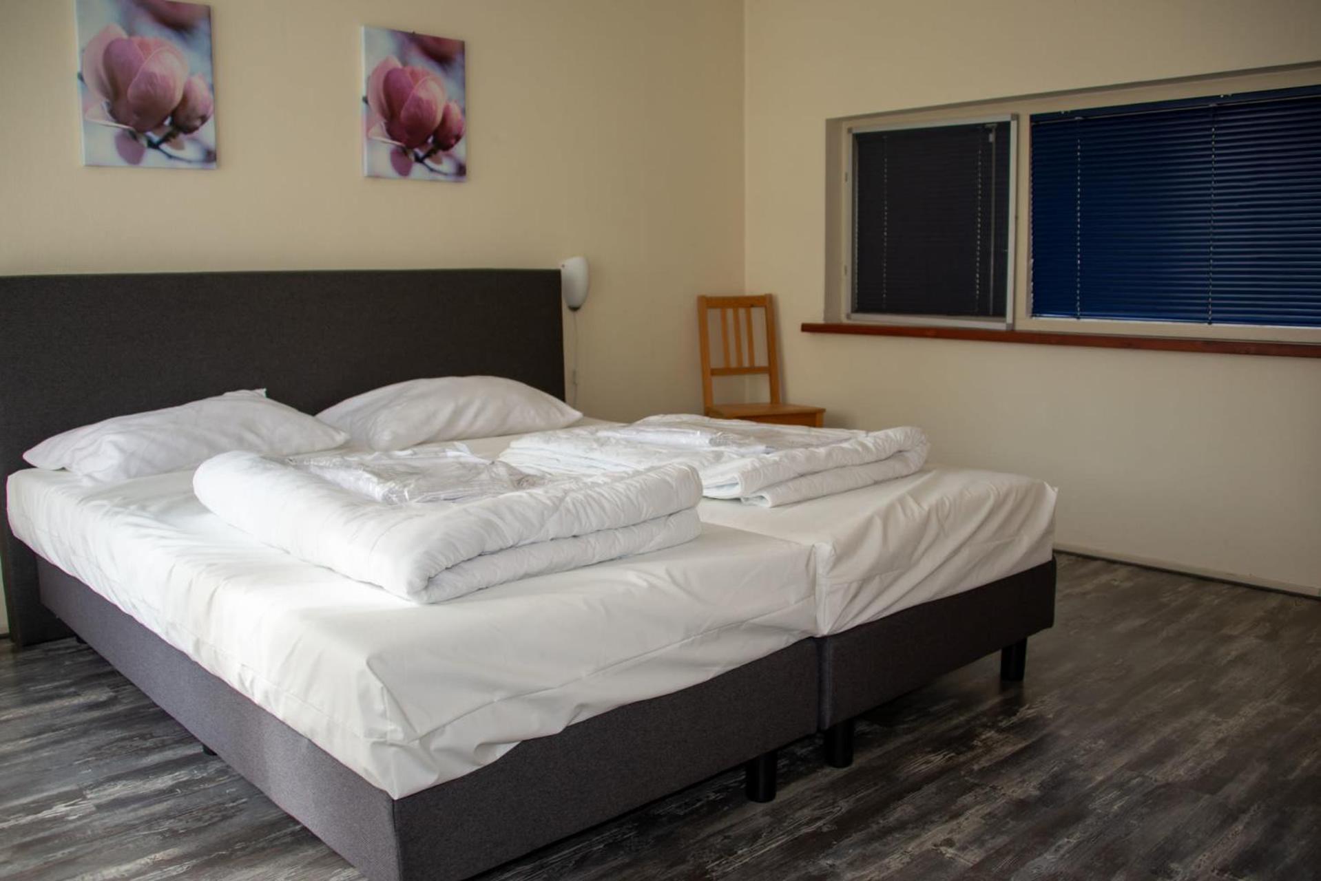 Europarcs De Wiltzangh Hotel Ruinen Cameră foto